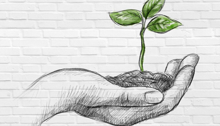 تلاش‌های داوطلبانه یک زوج در صدد حفظ محیط زیست ایران 